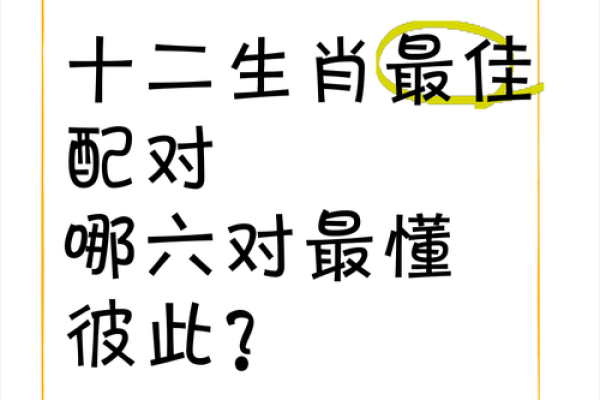 十二生肖配对 揭秘十二生肖旺财养对旺财宠物
