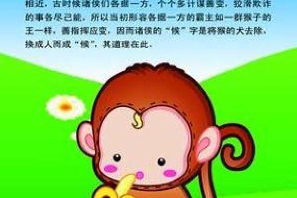 属猴的男孩出生吉日 属猴是哪一年出生的