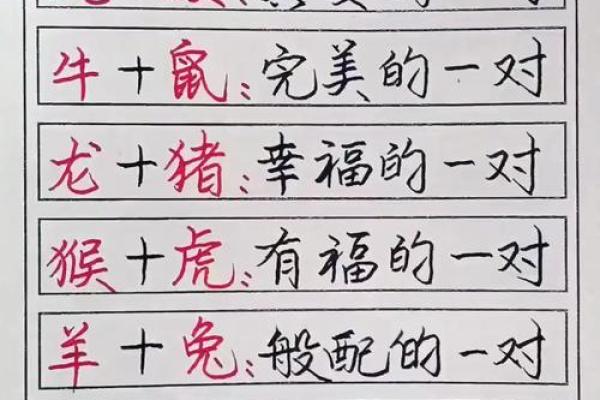 注定成为敌人的属相配对