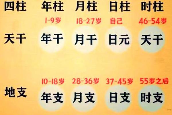 宝宝生辰八字取名,在线取名免费生辰八字