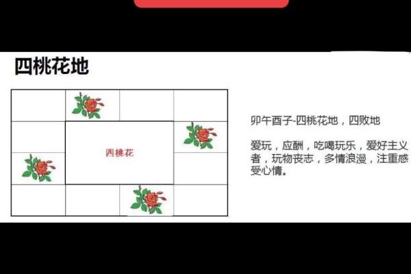 紫薇斗数无桃花