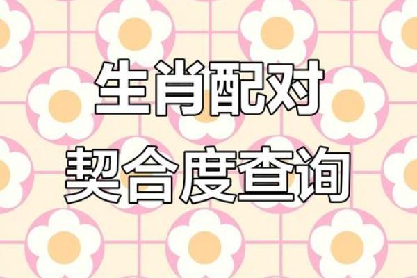 姓名配对测试吉 姓名配对测试结果？