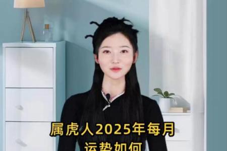 属虎方位吉凶图解大全
