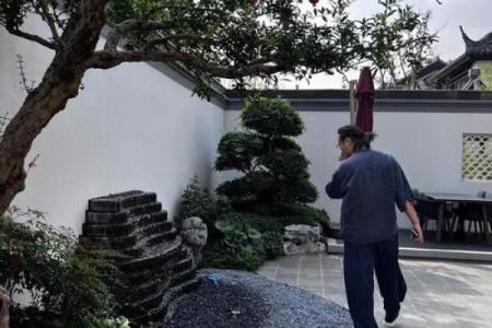 住宅树木风水布局