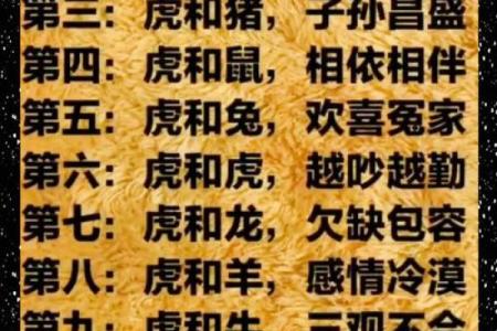 属马女性配对大揭秘：羊男VS狗男，成功婚姻密码在哪？