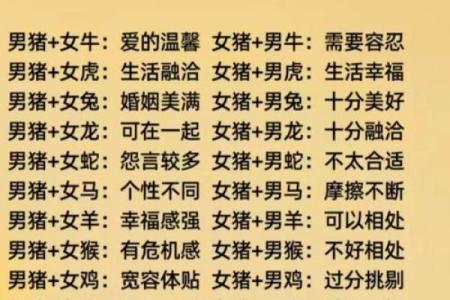 婚姻配对属龙和属猪姻缘怎么样
