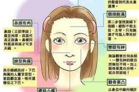 面相算命看法的特征,面相的基本看法
