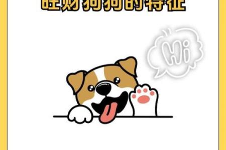 十二生肖配对 揭秘十二生肖旺财养对旺财宠物