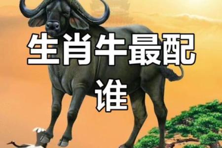 1973年属牛蕞佳配对