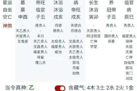 八字己巳大运是什么运势