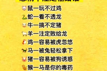 注定成为敌人的属相配对