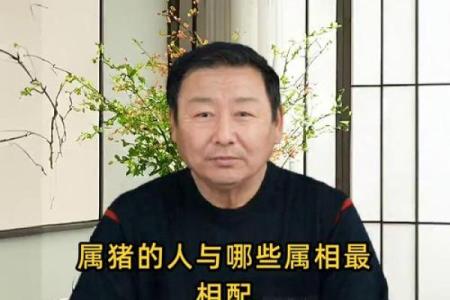 属猪男和什么属相配吗，属猪男和什么属相配对？