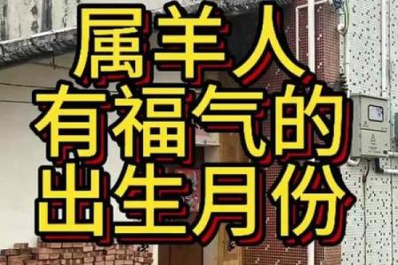 属羊出生吉日 几点出生最好