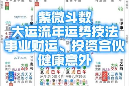 紫薇斗数流年免费算命