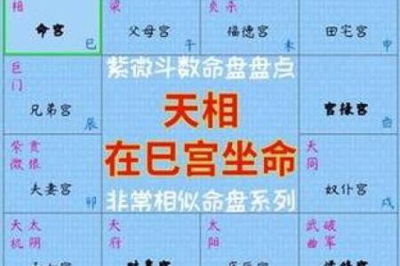 紫薇斗数怎样查天相