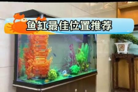 鱼缸在风水中的摆放