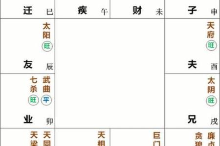 紫微斗数之事业宫与诸星，廉贞星在事业宫是什么意思？