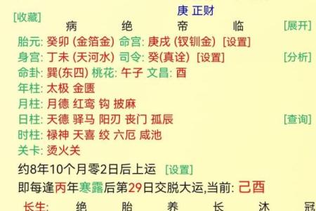 富太太的紫微命格 容易当上富太的八字