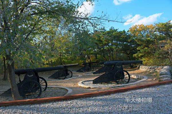 野狗山算命