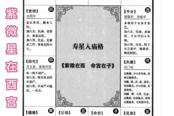 紫薇斗数宫职