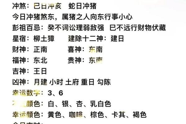 今日明日道历 - 每日老黄历