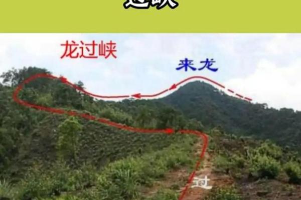 传说中的风水祖坟故事都有哪些