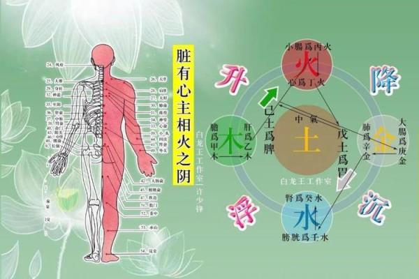 探索女性私密能量在风水中的重要性