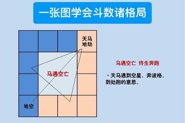 林黛玉紫薇斗数