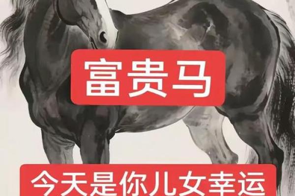 马宝宝八字
