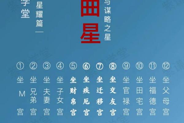 紫薇斗数金融行业