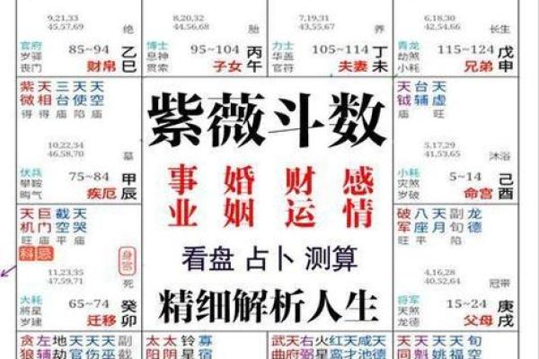 八字免费算命