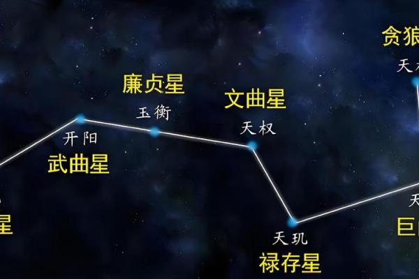 紫薇斗数文曲男