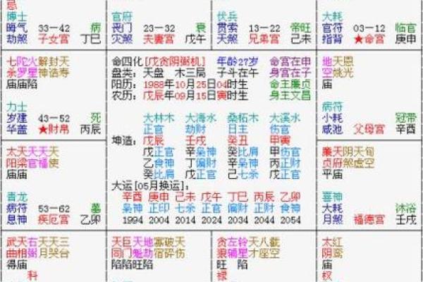 在线看紫薇斗数