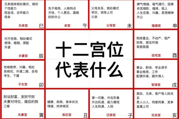 紫薇斗数流月怎么看
