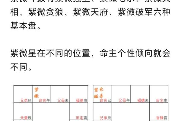 紫薇斗数怎么看有没有孩子