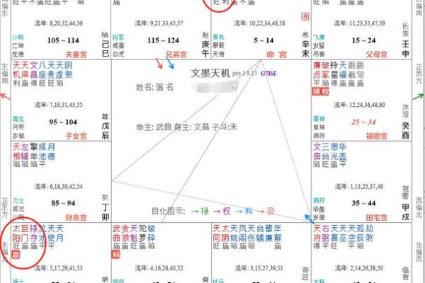 紫薇斗数中疾