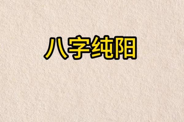 如何利用八字纯阳选择适合自己的职业