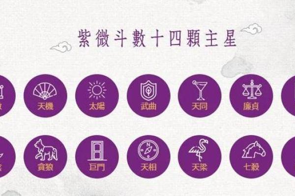 紫薇斗数看孩子性格