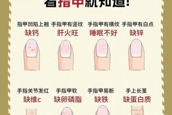 指甲 风水