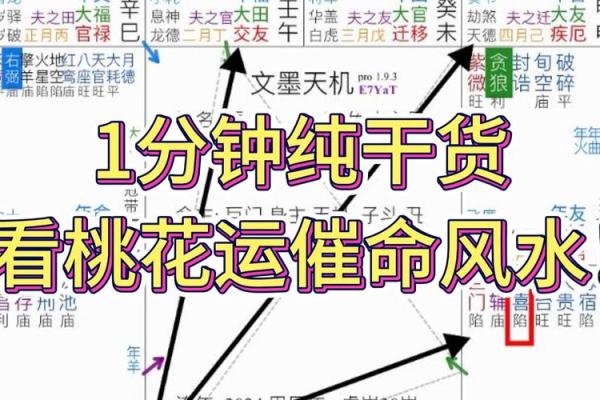 紫薇斗数看你的学历