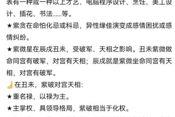紫薇斗数真传