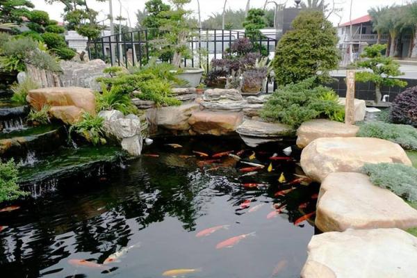 池塘填埋造房子风水