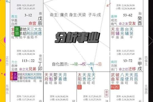 紫薇斗数紫薇入事业