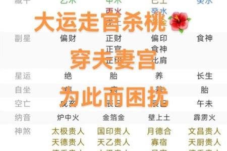 婚恋课堂：桃花婚配、风水趣谈