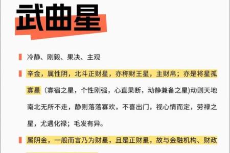 在线看紫薇斗数