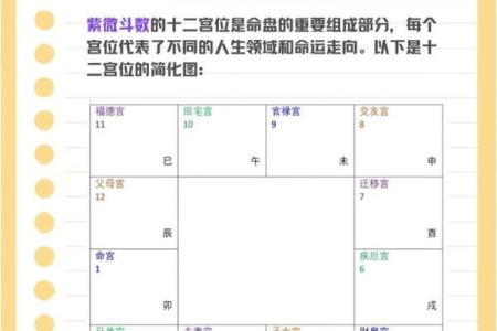 紫微斗数命盘空宫的含义