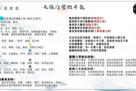 紫微斗数之诸星值限年运气推断：羊陀星之年