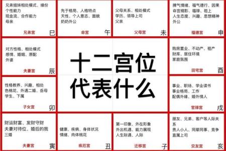 紫薇斗数流月怎么看