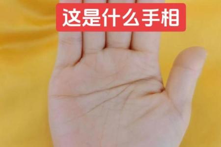手相假断掌算命图解