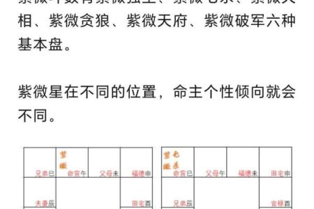 紫薇斗数怎么看有没有孩子